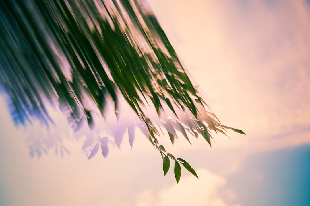 普京与特朗普新一轮会谈何时进行?俄方回应:可能是近期